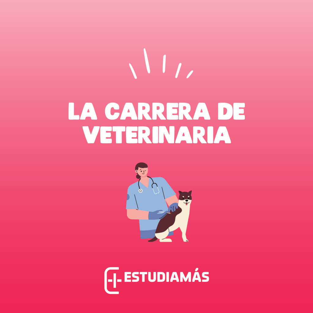 Todo sobre la carrera de veterinaria