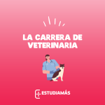Todo sobre la carrera de veterinaria
