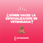 ¿Dónde hacer la especialidad de veterinaria?